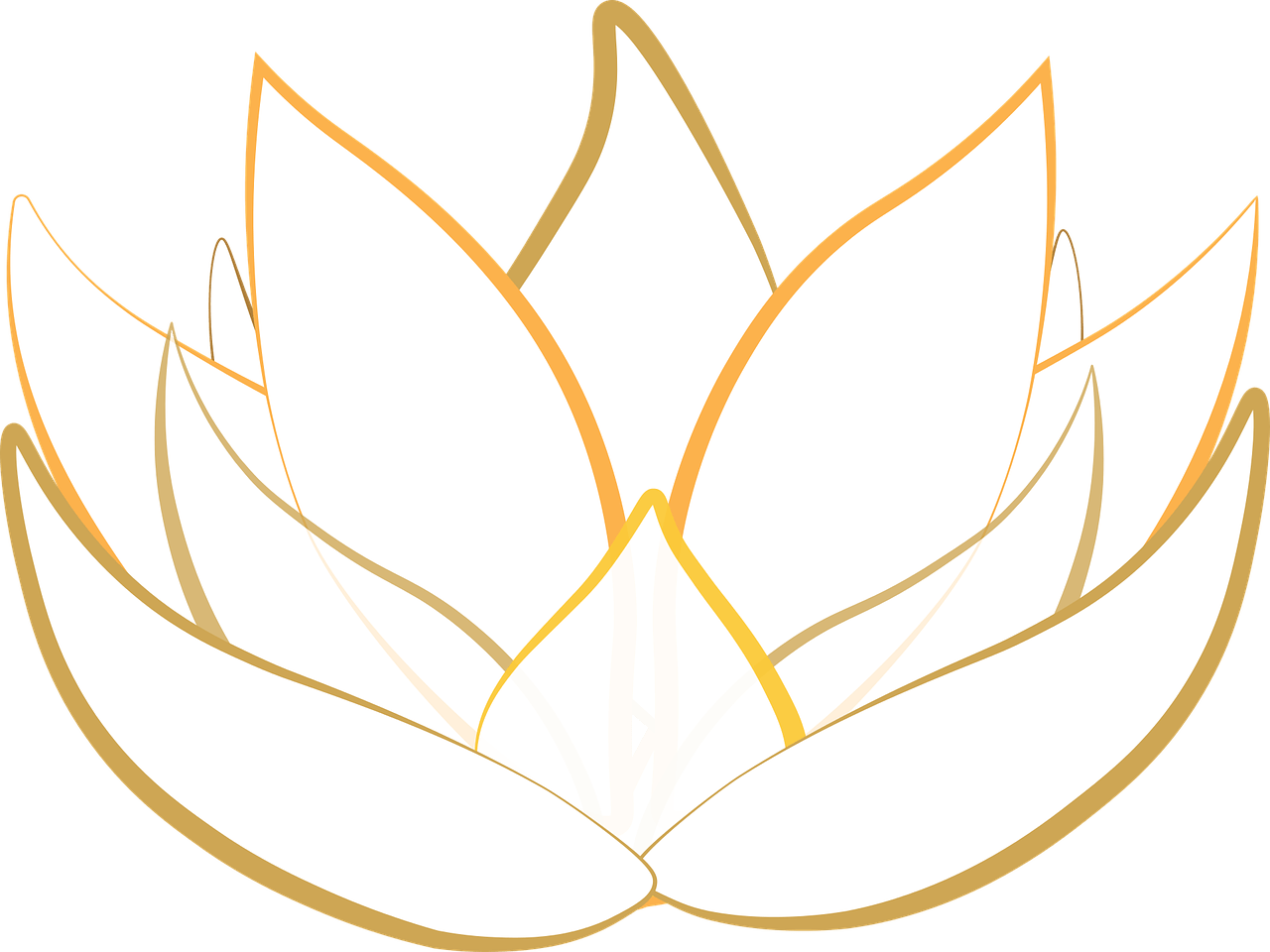 lotus, transparent, blossom-1889735.jpg
